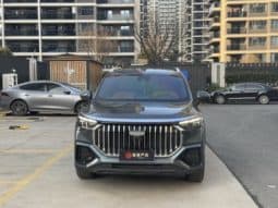 
										Geely Okavango (II), 2023 full									