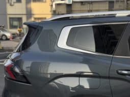 
										Geely Okavango (II), 2023 full									