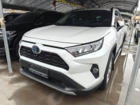 Toyota RAV4 (IV), 2020