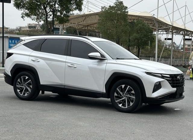
								Hyundai Tucson (III), 2023 full									