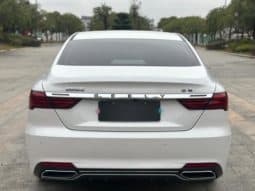 
										Geely Binrui, 2020 full									