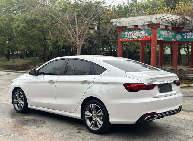 
								Geely Binrui, 2020 full									