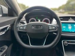 
										Geely Binrui, 2020 full									
