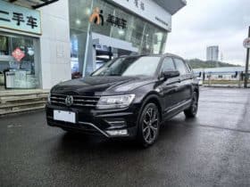 Volkswagen Tiguan L, 2020