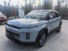 Geely ICON, 2021