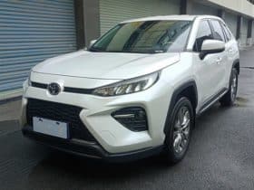 Toyota Wildlander, 2024