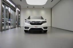 
										Honda Avancier (II), 2020 full									