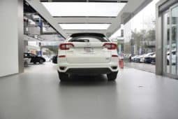 
										Honda Avancier (II), 2020 full									