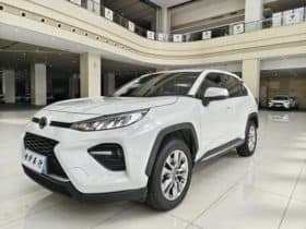 Toyota Wildlander, 2021
