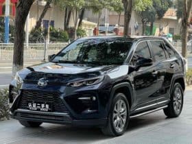 Toyota Wildlander, 2021
