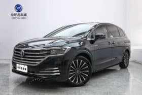 Volkswagen Viloran, 2020