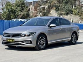 Volkswagen Magotan, 2021