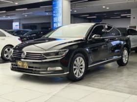Volkswagen Magotan, 2020