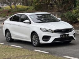 
										Geely Binrui, 2020 full									
