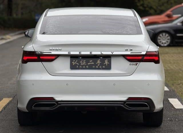
								Geely Binrui, 2020 full									