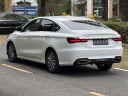 
										Geely Binrui, 2020 full									