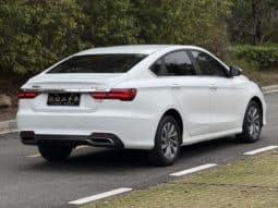 
										Geely Binrui, 2020 full									