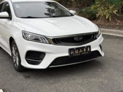 
										Geely Binrui, 2020 full									