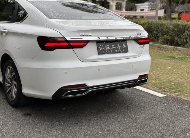 
								Geely Binrui, 2020 full									