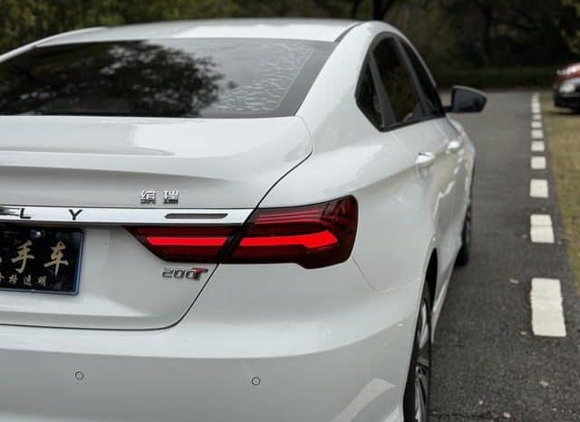 
								Geely Binrui, 2020 full									