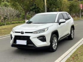 Toyota Wildlander, 2024
