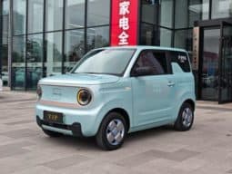 67cea46ed840a Geely Panda, 2023
