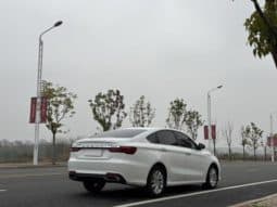 
										Geely Binrui, 2021 full									