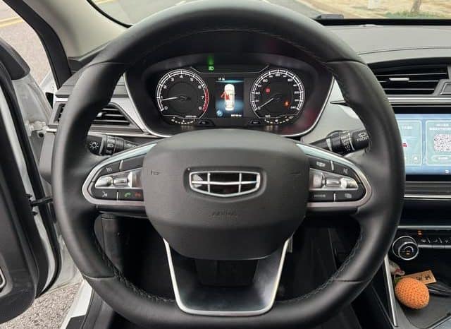 
								Geely Binrui, 2021 full									