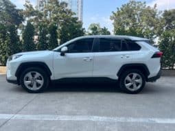 
										Toyota RAV4 (IV), 2022 full									