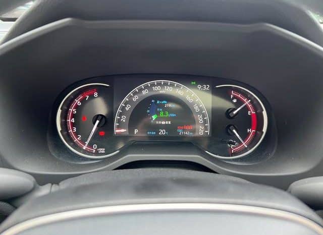 
								Toyota RAV4 (IV), 2022 full									