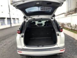 
										Honda Breeze (I), 2020 full									