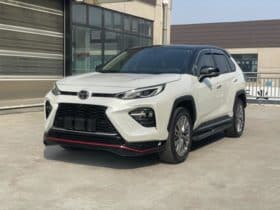 Toyota Wildlander, 2021