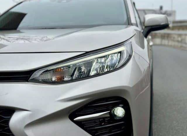 
								Toyota Wildlander, 2022 full									