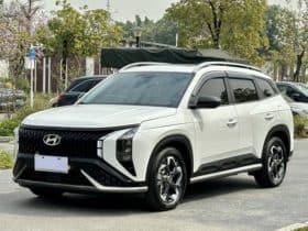 Hyundai ix35, 2024