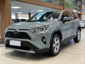 Toyota RAV4 (IV), 2020