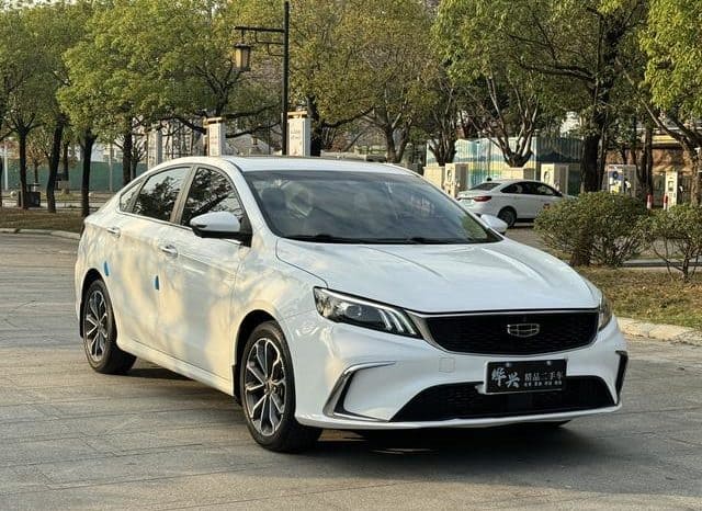 
								Geely Binrui, 2021 full									