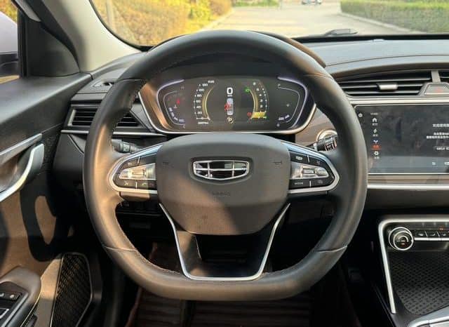 
								Geely Binrui, 2021 full									