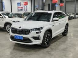 67d28c9743cc5 Skoda Kodiaq, 2024
