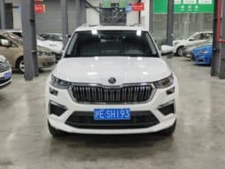 
										Skoda Kodiaq, 2024 full									