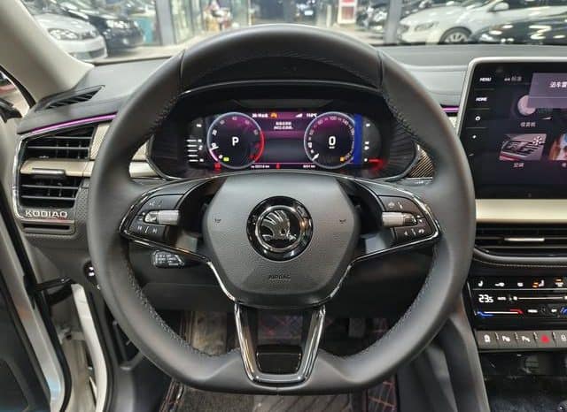 
								Skoda Kodiaq, 2024 full									