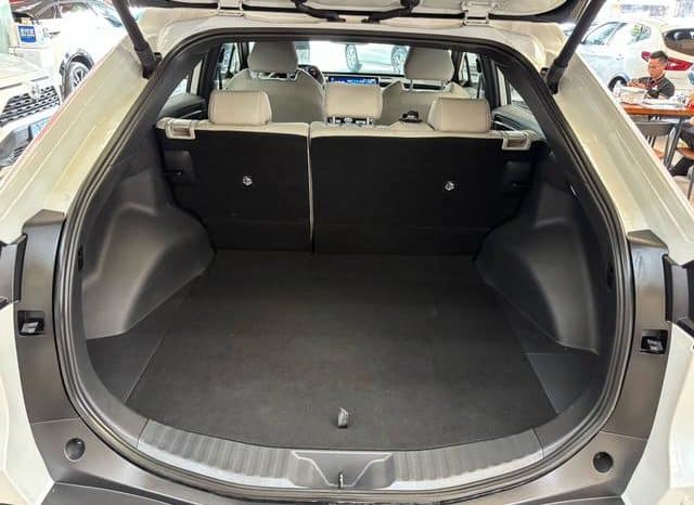 
								Toyota GAC bZ4X, 2023 full									
