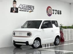 67d2c3860f325 Geely Panda, 2024