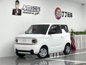 Geely Panda, 2024