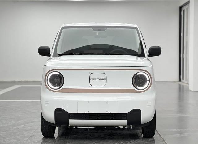 
								Geely Panda, 2024 full									