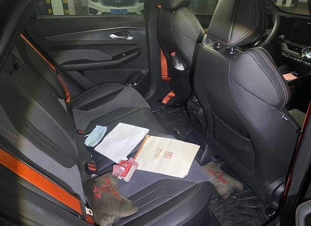
								Geely Binrui, 2023 full									