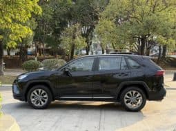 
										Toyota Wildlander, 2022 full									