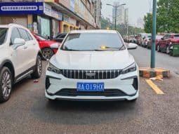 
										Geely Binrui, 2023 full									