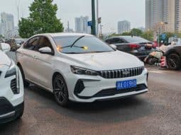 
										Geely Binrui, 2023 full									