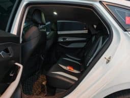 
										Geely Binrui, 2023 full									
