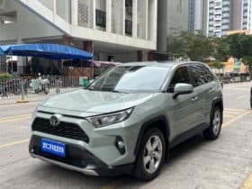 Toyota RAV4 (IV), 2020